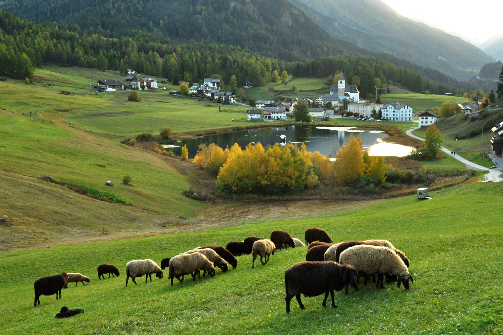 Tarasp